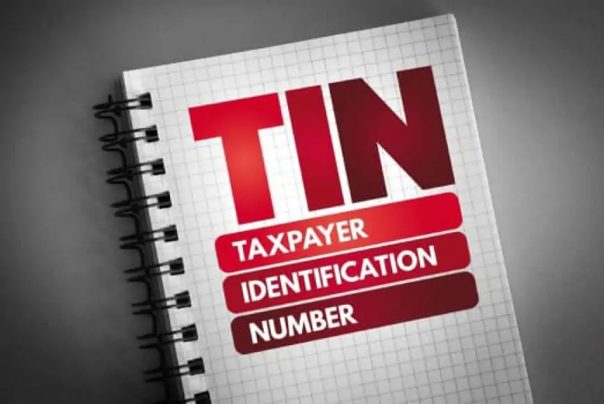 கட்டாய வரி எண்ணை (TIN) எவ்வாறு பெறுவது? விவரம் இதோ!