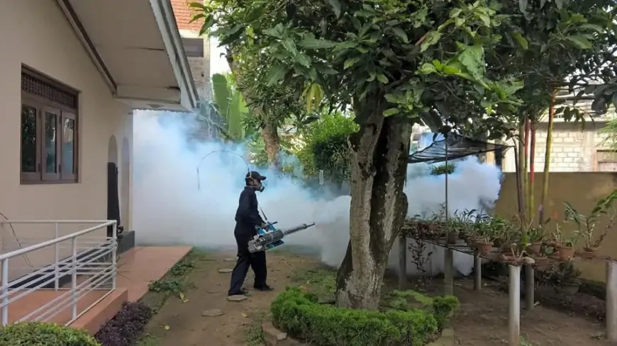 விசேட டெங்கு ஒழிப்பு வாரம் நடைமுறை