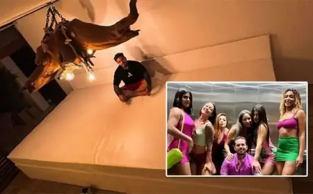 ஒரே படுக்கையில் ஆறு மனைவிகள்.... 3 கோடி ரூபாய் செலவில் பிரமாண்ட கட்டிலை தயாரித்த இளைஞர்!