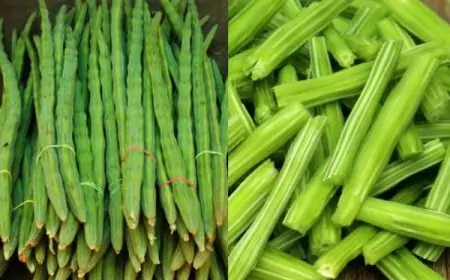 முருங்கைக்காய் விலை திடீரென கிடுகிடு உயர்வு... எவ்வளவு தெரியுமா?