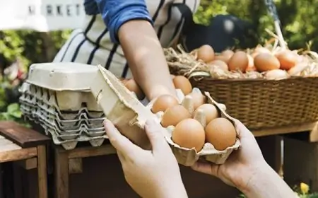 மீண்டும் முட்டைக்கு தட்டுப்பாடு... வெளியான தகவல்!