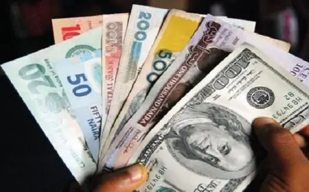 இலங்கை ரூபாயில் இன்று ஏற்பட்டுள்ள மாற்றம்