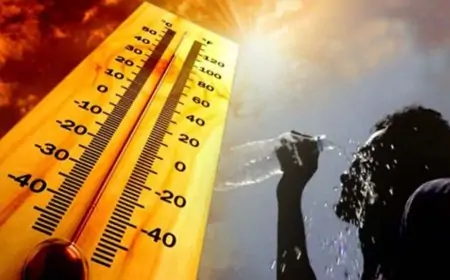 வெப்ப நிலை குறித்து விடுக்கப்பட்டுள்ள எச்சரிக்கை