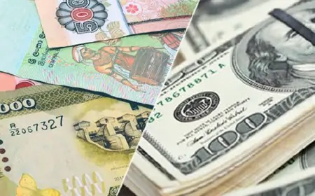 இலங்கை ரூபாயின் பெறுமதியில் ஏற்பட்டுள்ள மாற்றம்! அமைச்சரின் அறிவிப்பு