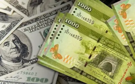 தொடர்ந்து வீழ்ச்சியடையும் அமெரிக்க டொலரின் பெறுமதி