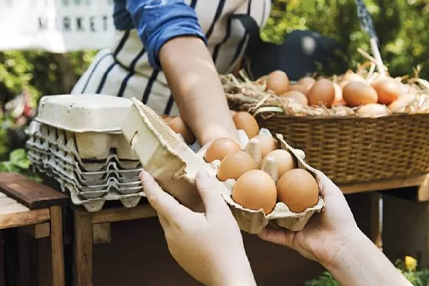 மீண்டும் முட்டைக்கு தட்டுப்பாடு... வெளியான தகவல்!