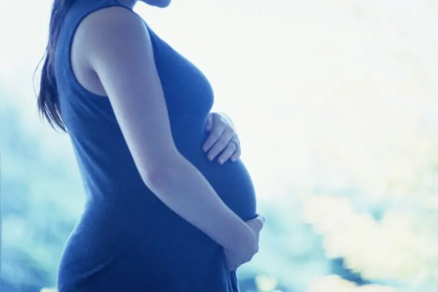 பாம்பு தீண்டி உயிரிழந்த கர்ப்பிணி; திருமலையில் சோகம்