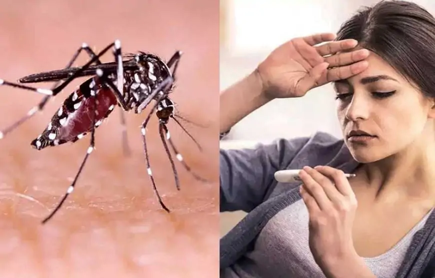 டெங்கு காய்ச்சல் தொடர்பில் வெளியான புதிய தகவல்!