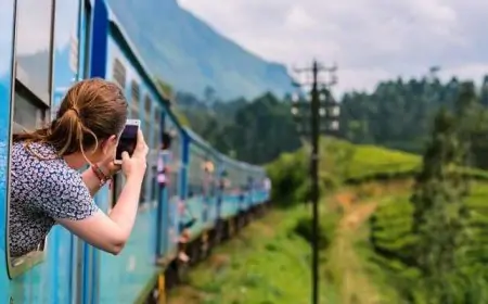 சுற்றுலா பயணிகளின் வருகை தொடர்பில் வெளியான தகவல்