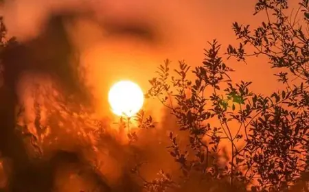 அதி உச்சத்துக்கு செல்லும் வெப்பம்... நாளைய காலநிலை குறித்து வெளியான அறிவிப்பு