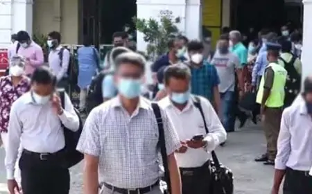 உள்ளூராட்சி ஊழியர்களின் நிரந்தர நியமனம் குறித்து வெளியான அறிவிப்பு