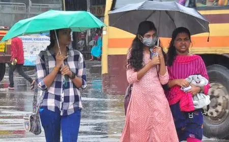 மாலை அல்லது இரவு வேளையில் சில இடங்களில் மழை