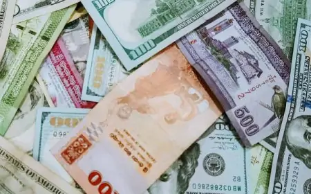 இலங்கை ரூபாயின் பெறுமதி தொடர்ந்தும் உயர்வு; வீழ்ச்சியடையும் டொலர்