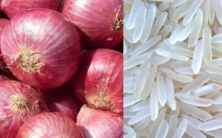 அரிசி மற்றும் பெரிய வெங்காய வரி குறைப்பு - அறிவிப்பு வெளியானது 