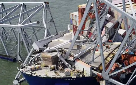 அமெரிக்காவில் பாலம் இடிந்த விபத்தில் உயிரிழப்பு 8 ஆக உயர்வு..  4 பேரின் நிலை என்ன?