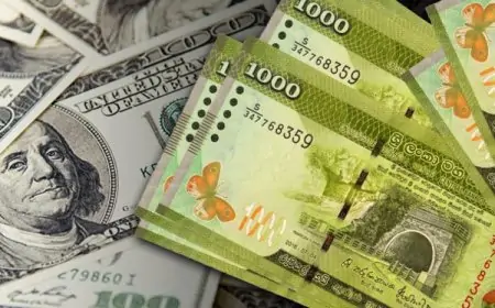 இலங்கை ரூபாயின் பெறுமதியில் ஏற்பட்டுள்ள மாற்றம்