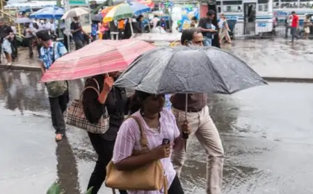 நாட்டின் பல பகுதிகளில் இன்றும் மழை