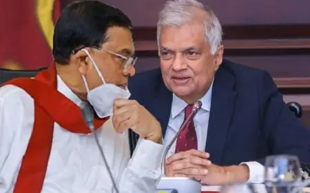 ஜனாதிபதிக்கும் பசிலுக்கும் இடையில் மற்றுமொரு சந்திப்பு