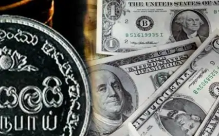 290 ரூபாயை நெருங்கும் அமெரிக்க டொலர் ரூபாயின் பெறுமதி அதிகரிப்பு