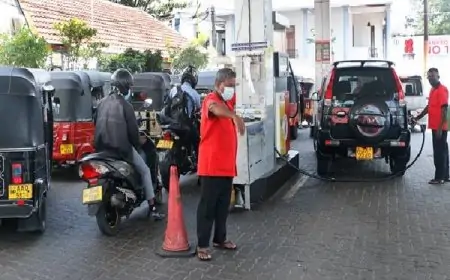 எரிபொருள் விற்பனையில் ஏற்பட்டுள்ள மாற்றம் - வெளியான தகவல்