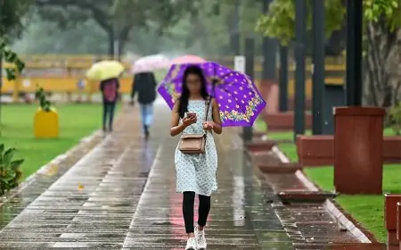 பல பகுதிகளில் இன்று மாலை நேரத்தில் மழை பெய்யும்