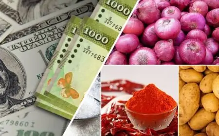 அரிசி, பருப்பு உட்பட பொருட்கள் விலை குறைப்பு