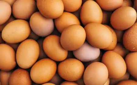 சந்தையில் முட்டை விலை மீண்டும் அதிகரிப்பு