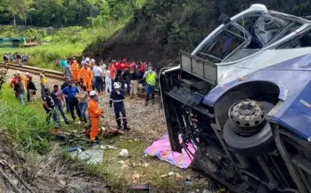 பிரேசில் நெடுஞ்சாலையில் பஸ் கவிழ்ந்து 9 பேர் மரணம்