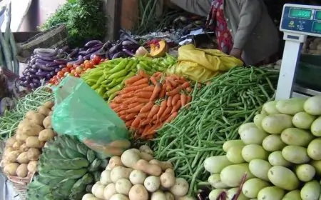 மீண்டும் உயரும் மரக்கறிகளின் விலை