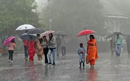 நாட்டின் பல பகுதிகளில் இன்று பிற்பகல் பரவலாக மழை