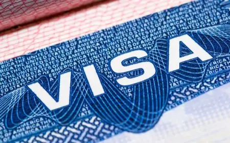 சுற்றுலாப் பயணிகளுக்கு இன்று முதல் E-Visa வழங்கும் முறை ஆரம்பம்