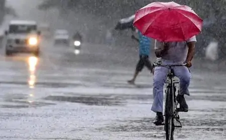 பல பகுதிகளில் இன்று பகலில் கடும் வெப்பம்... மாலையில் கடும் மழை பெய்ய வாய்ப்பு!