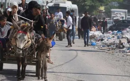 காசா வடக்கு எல்லையில் வசிப்பவர்களை வெளியேற இஸ்ரேல் உத்தரவு