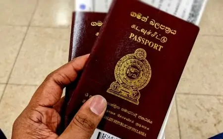 ஈ - விசா தொடர்பில் மக்களுக்கு விசேட அறிவுறுத்தல்