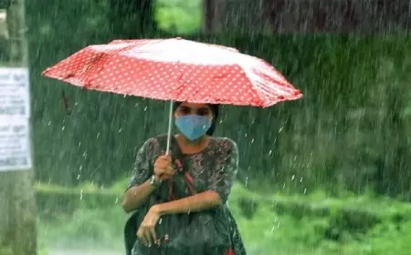 வடக்கு மற்றும் கிழக்கு மாகாணங்களிலும் லேசான மழை