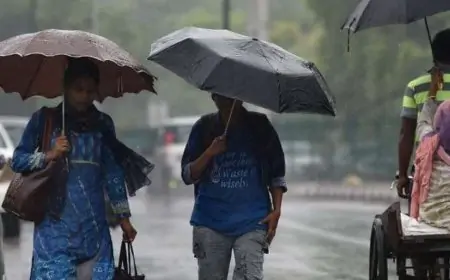 காலநிலை மாற்றம் தொடர்பில் வெளியான அறிவிப்பு