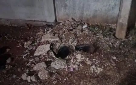 யாழில் பொலிஸார் விரட்டிச் சென்ற நபர் மின்கம்பத்தில் மோதி மரணம்