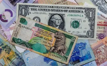 டொலர் மற்றும் ரூபாயின் பெறுமதியில் இன்று ஏற்பட்டுள்ள மாற்றம்!