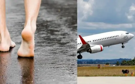 விமானத்திற்குள் நிர்வாணமாக ஓடிய நபர்... நடுவானில் அதிர்ச்சி சம்பவம் 