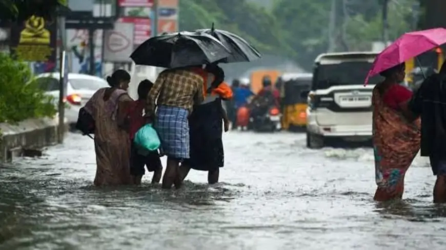 தமிழகத்தின் 14 மாவட்டங்களில் இன்று கனமழை