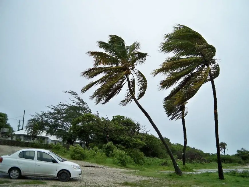 பலத்த காற்று தொடர்பில் மீண்டும் எச்சரிக்கை