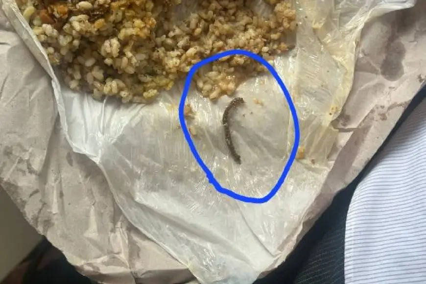 மதிய உணவில் மட்டைத்தேள்; உணவகத்துக்கு சீல்வைப்பு