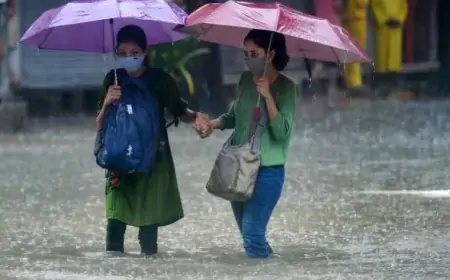 இன்று மழை பெய்ய வாய்ப்புள்ள இடங்கள் இதோ!