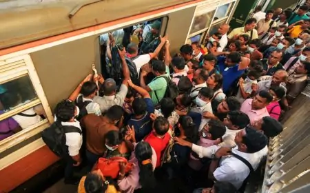 இன்று முதல் வழமைக்கு திரும்பும் ரயில் சேவைகள் 