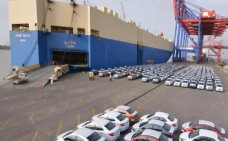 வாகன இறக்குமதி கட்டுப்பாடு தளர்வு 2025 இல் சாத்தியமாகும்; வெளியான தகவல்