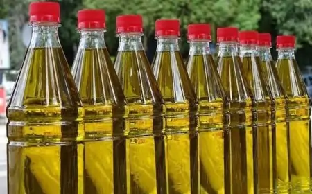 தேங்காய் எண்ணெய் விலை உயர்வுக்கு என்ன காரணம்? வெளியான தகவல்!