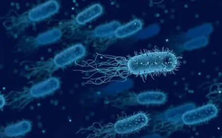 ஜப்பான் தொற்று குறித்து இலங்கையில் அச்சம் வேண்டாம்