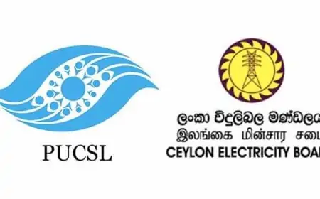 புதிய மின் கட்டண திருத்தம் ஜூலை அறிவிக்கப்படும்