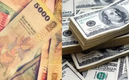 இலங்கை ரூபாயின் பெறுமதியில் தொடர்ச்சியாக வீழ்ச்சி