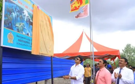 கைவிடப்பட்ட நாய்களுக்கு பராமரிப்பு நிலையத்தை திறந்தார் ஆளுநர்!